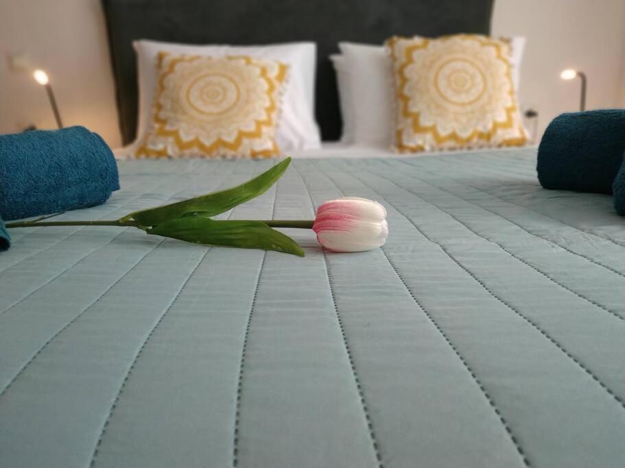 Stelisioanna Apartman Hriszí Aktí Haniá Kültér fotó
